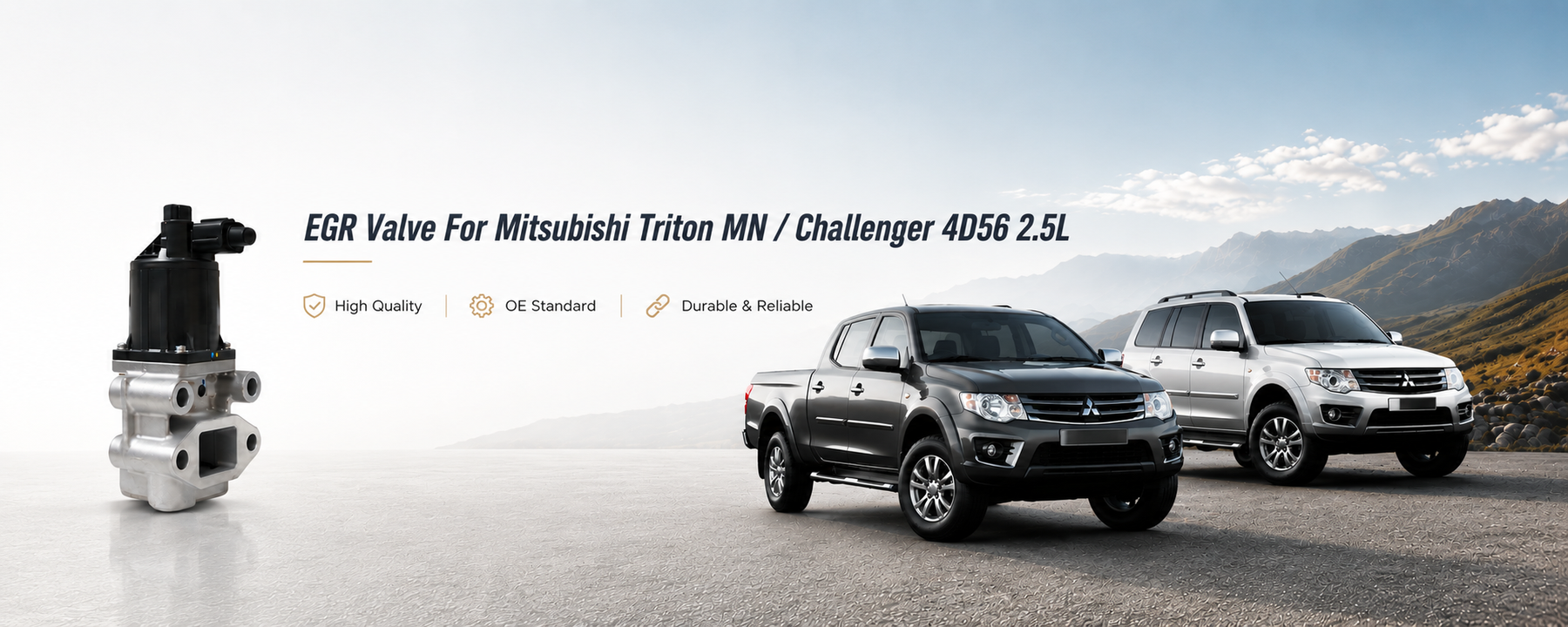 Common EGR Valve Problems in Mitsubishi Triton MN & Challenger
