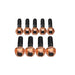 Permaseal Turbo & Exhaust Manifold Installation Stud & Gasket Kit For Ford Falcon XR6 BA/BF/FG Barra 4.0L